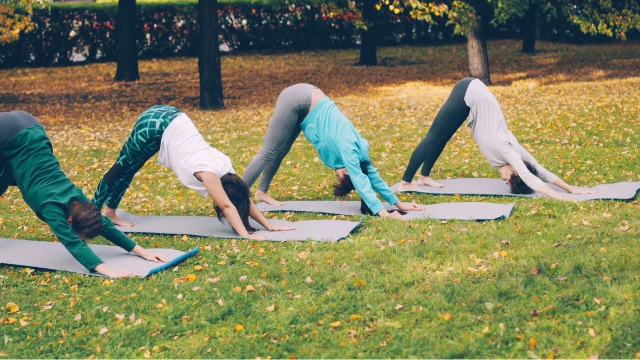 Les principales poses de yoga