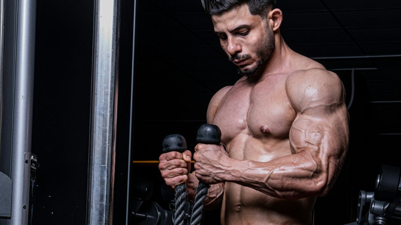 Triceps court ou long