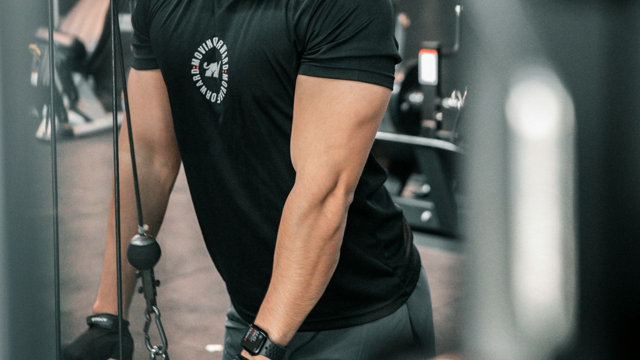 Triceps long vs court