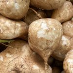 Jicama
