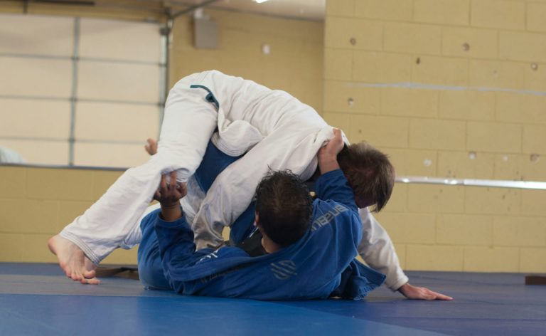 Prises de judo